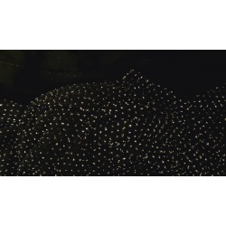 vera_elegance_2